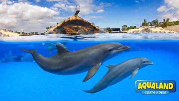 Royal Ocean View - Top Localization Costa Adeje  Buitenkant foto